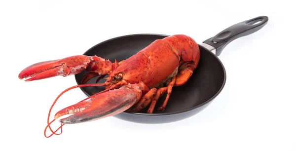 Lobster on frying pan isolated on white background — 图库照片
