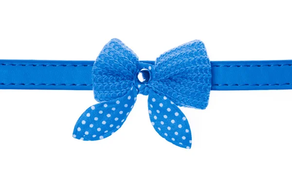 Blue pet collar with polka dots and bow tie isolated over white — Stockfoto