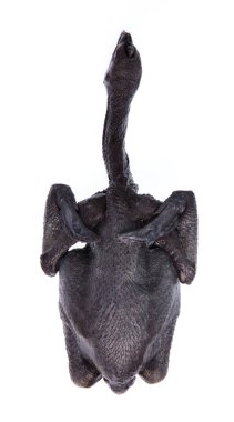 Black Chicken Whole Isolated On White Background