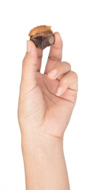 hand holding Delicious boiled or steamed cockles isolated on whi