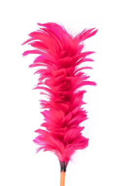 Pink duster feather broom isolated on white background.