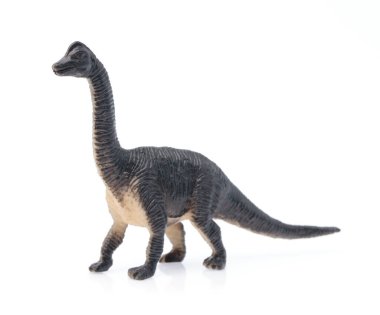 toy small dinosaur isolated on white background