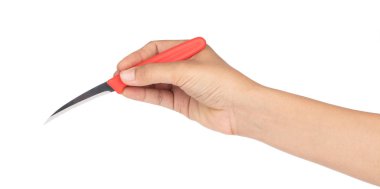 hand holding Fruit carving knife isolated on a white background
