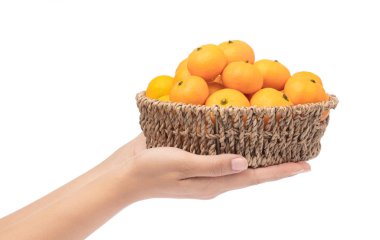 El turuncuyu sepette tutarken beyaz arka planda izole