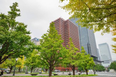 Japonya - 22 Ekim 2016: Yürüme yolu boyunca ağaçlar 