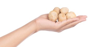 hand holding mushroom isolated on white background