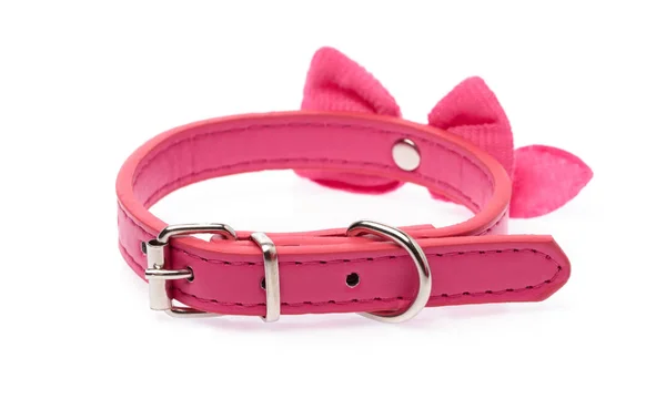 Pink pet collar with polka dots and bow tie isolated over white — 图库照片