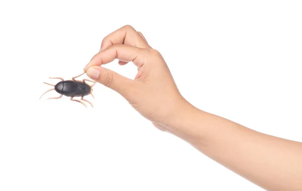 Hand holding Toy Cockroaches isolated on white background — ストック写真