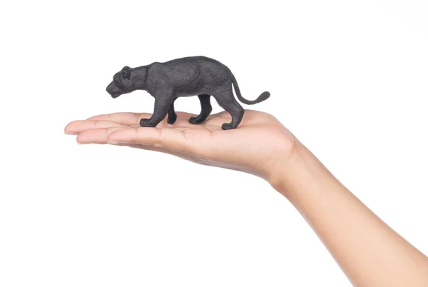 Mão segurando brinquedo plástico tigre preto isolado no backgroun branco — Fotografia de Stock