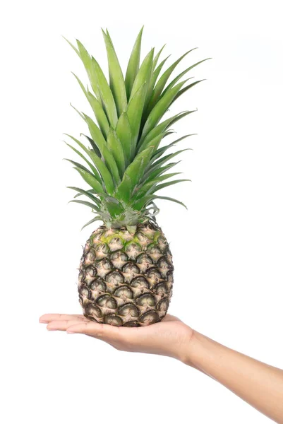 Hand holding pineapple isolated on white background — ストック写真