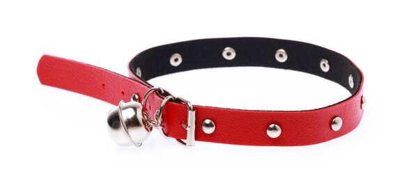 dog collar isolated on a white background