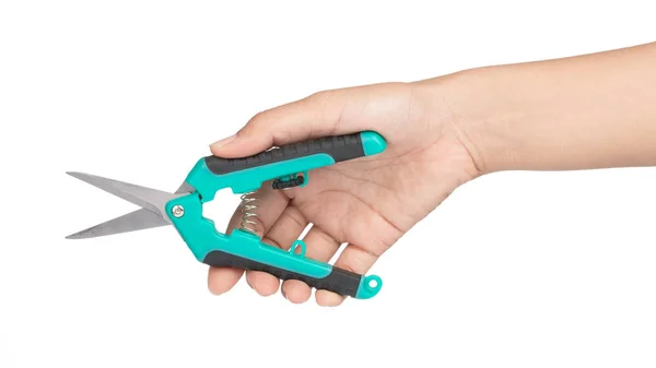 Hand holding cutting long nose pliers isolated on a white backgr — 스톡 사진