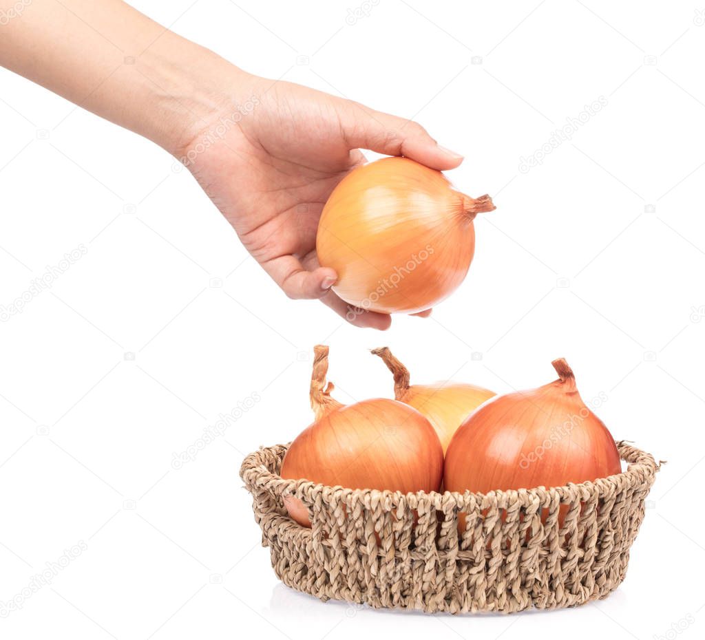 hand holding onion in basket isolated on white background