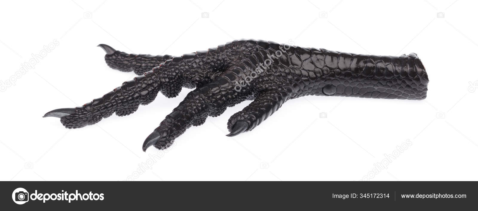 Black chicken feet isolated on white background Stock Photo by