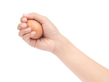 hand holding chicken eggs isolated on white background