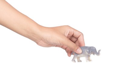  hand holding toy elephant isolated on white background