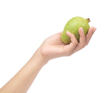 Beyaz arkaplanda el ele tutuşan Guava meyvesi