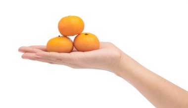 El ele tutuşan turuncu beyaz arka planda izole