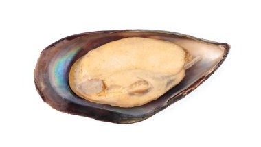 Beyaz arkaplanda yalıtılmış midyeler