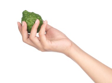 hand holding Bergamot fruit isolated on white background