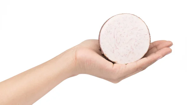 Hand holding slice taro isolated on white background — Stockfoto