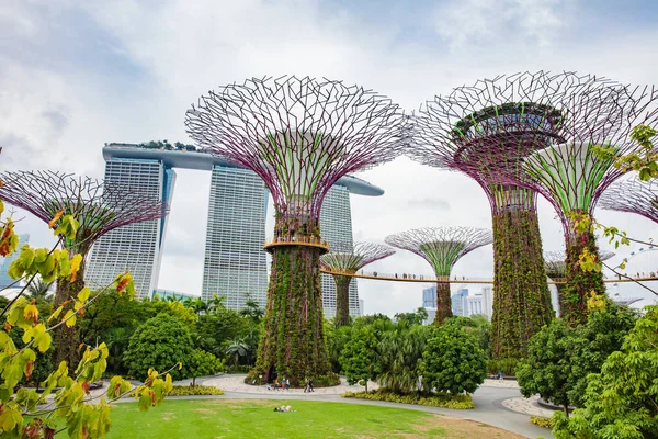 SINGAPUR - 18 DE FEBRERO DE 2017: Jardines junto a la Bahía de Singapur con —  Fotos de Stock