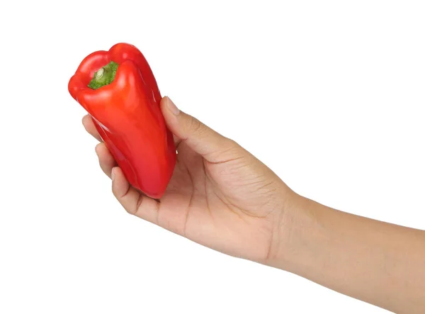 Mano sosteniendo pimientos rojos aislados sobre fondo blanco — Foto de Stock