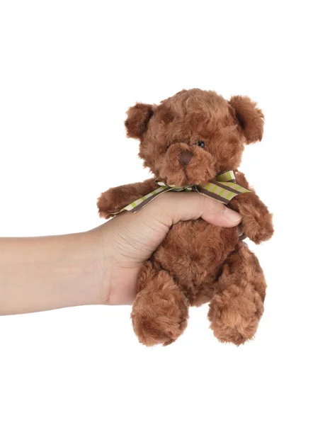 Hand hält Teddybär Puppe isoliert auf weißem Hintergrund. — Stockfoto