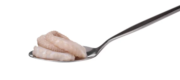 Löffel Baby-Tintenfisch isoliert auf weißem Hintergrund — Stockfoto