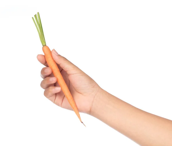 Hand holding fresh baby carrot isolated on white background. — Stock Photo, Image