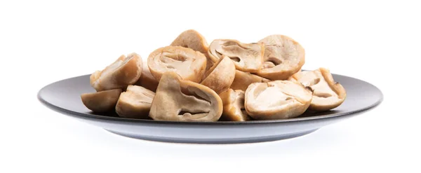 Close Mushrooms Isolated White Background — Stok fotoğraf