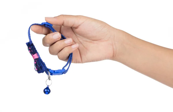 Hand holding Blue pet collar with polka dots and bow tie isolate — 스톡 사진