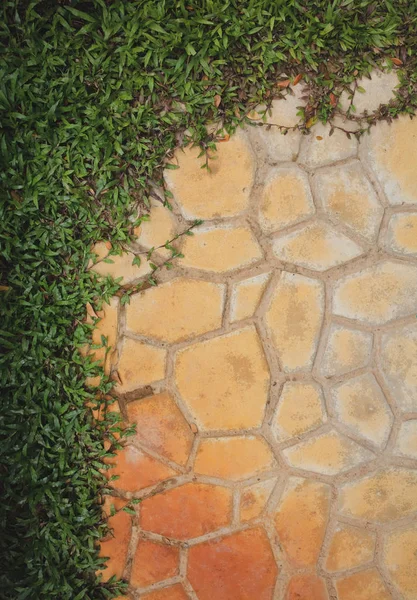 Tijolo de pedra laranja com planta pequena grama — Fotografia de Stock