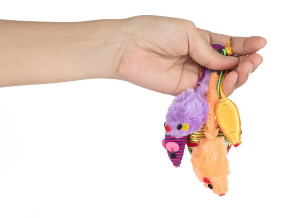 Ruční držení barevné hračky myš pro koťata izolované na bílém — Stock fotografie