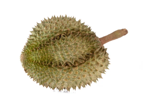 Durians fruits isolated on white background — 图库照片