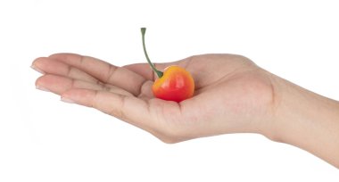 Hand holding Cherry for decoration artificial fruit ornaments ar