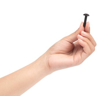 El ele tutuşan vida fındık beyaz arka planda izole