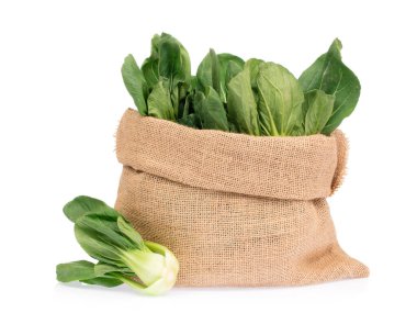 Sırt çantasındaki taze Çin lahanası beyaz sırtüstü izole edilmiş.