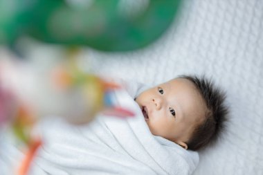 Bebek Mobil Oyuncak Arıyor