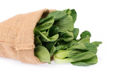 Sırt çantasındaki taze Çin lahanası beyaz sırtüstü izole edilmiş.