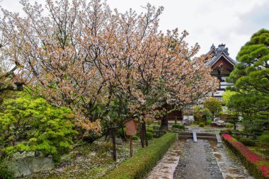 Arashiyama Tapınağı 'ndaki Tenryu ji Zen Tapınağı Kyoto Japonya