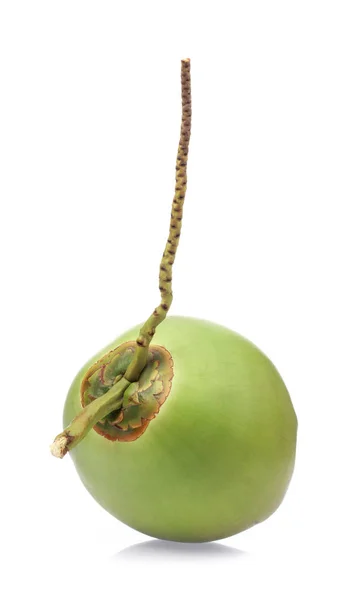 Beyaz arkaplanda yeşil hindistan cevizi meyvesi izole edilmiş — Stok fotoğraf