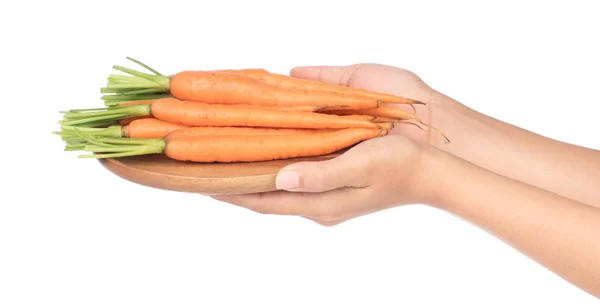 Hand holding fresh baby carrot on dish  isolated on white backgr — ストック写真