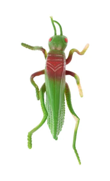 Grasshopper giocattolo di plastica gioco isolato su sfondo bianco — Foto Stock