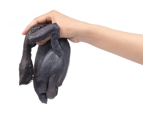 Mão segurando frango preto inteiro isolado no fundo branco — Fotografia de Stock