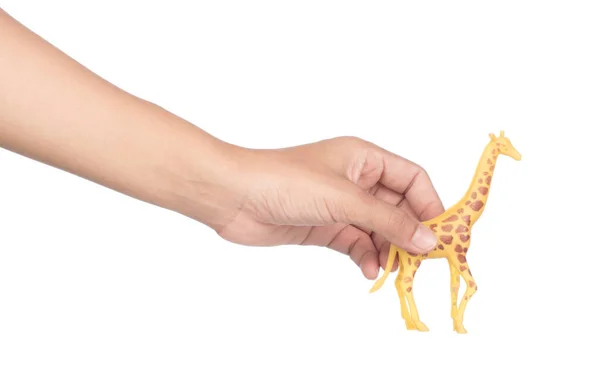 Mão segurando brinquedo animais de plástico isolados no fundo branco — Fotografia de Stock