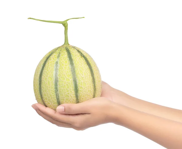 Hand bedrijf Single volledige Cantaloupe meloen geïsoleerd op witte rug — Stockfoto