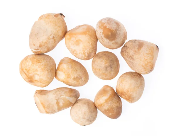 하얀 배경에 고립된 버섯 — 스톡 사진