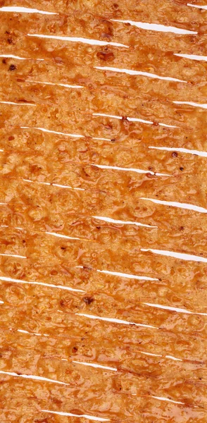 Lulas crocantes picantes isoladas em fundo branco — Fotografia de Stock
