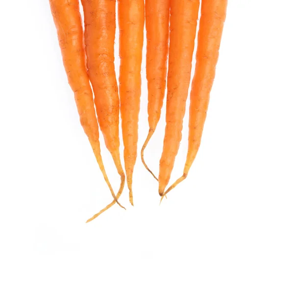 Carrot isolated on white background. — Stock Photo, Image